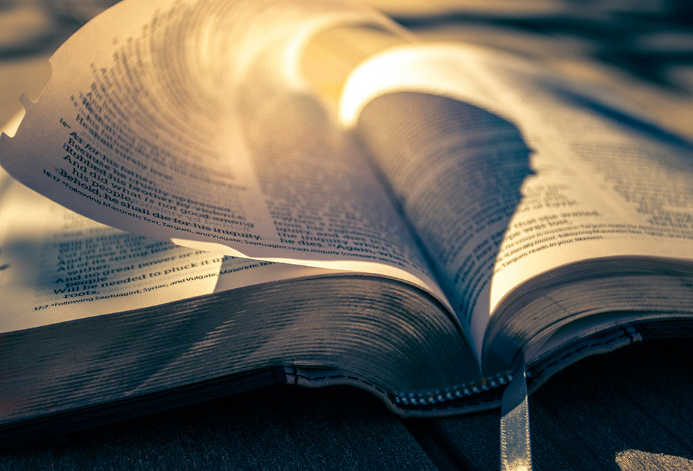 Sun shining on open Bible
