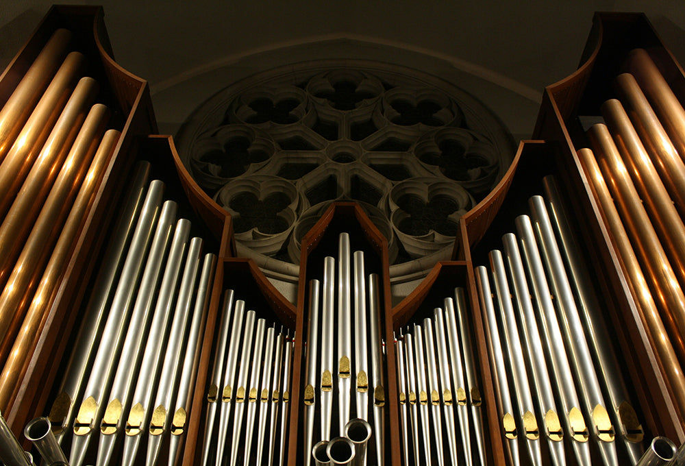 Church organ pipes that are tall and beautiful