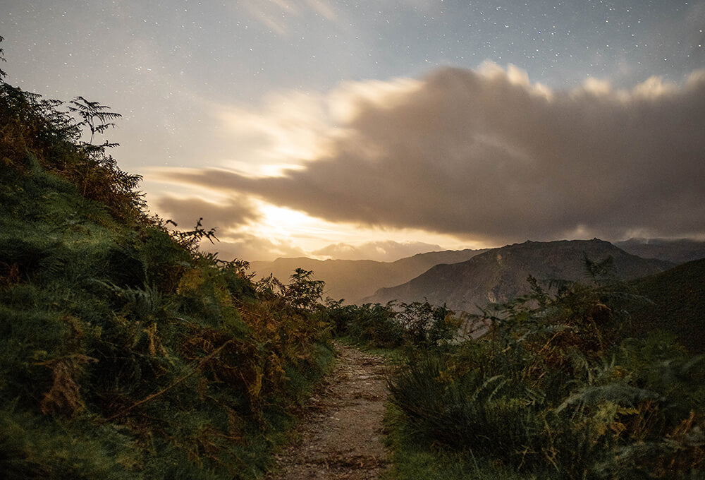 Genesis 28:15 devotional, Daily Bible Verse, Bible Verse of the Day, free email devotional, prayer cards, Bible Journal, Bible Planner, Scripture planner, scripture journal, Christian Journal, Bible Planner