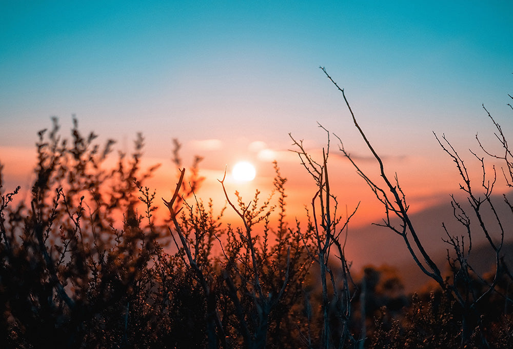 Sunrise symbolizing new beginnings and kingdom hope