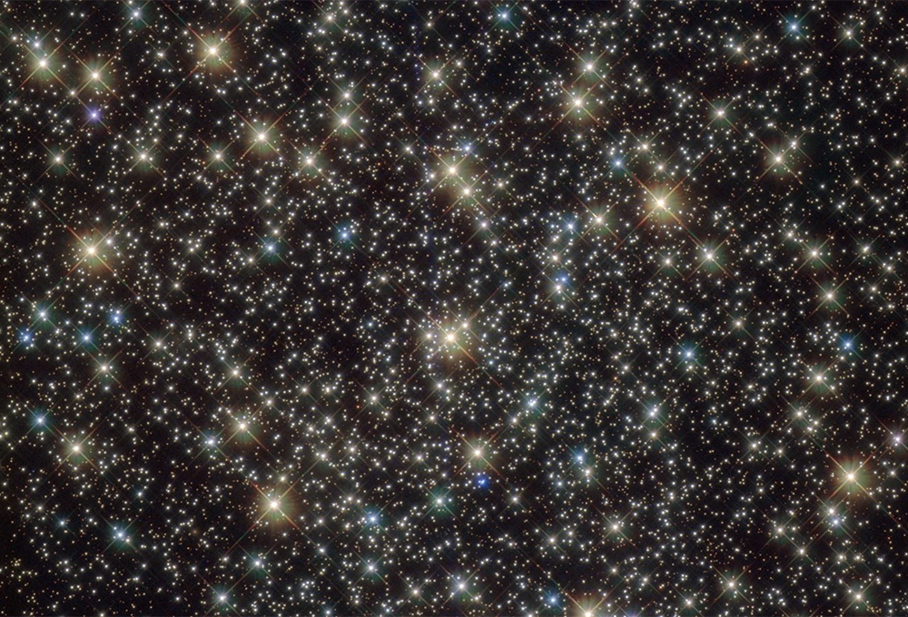 Advent Devotional 14 • Matthew 8:20