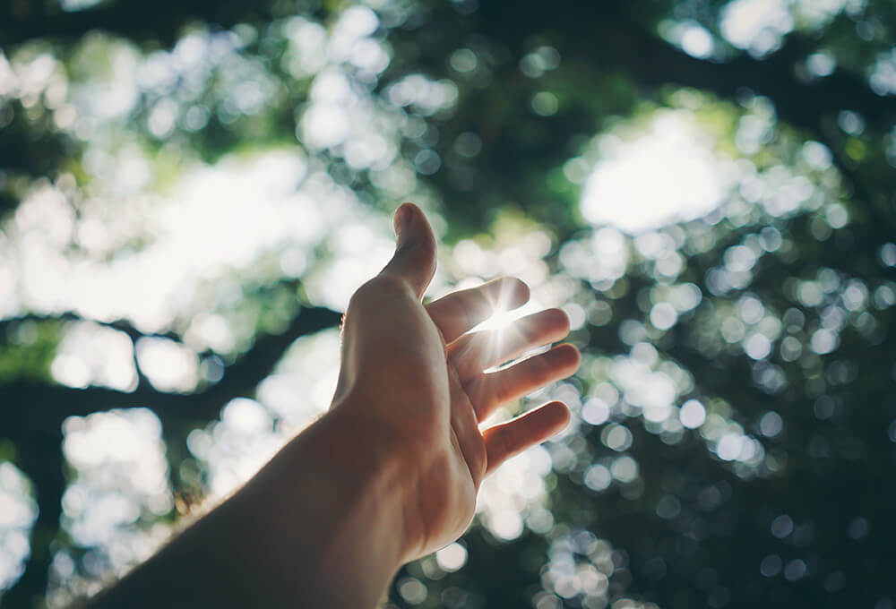 hand reaching toward the sunshine