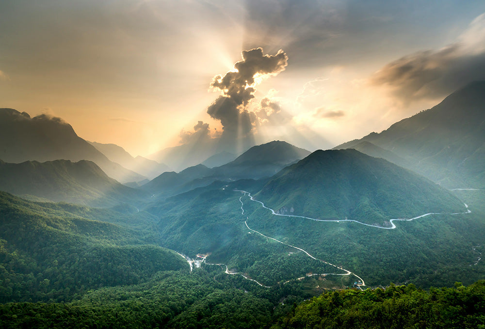 sunlight symbolizing new perspective and gratitude