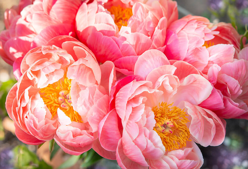 Jeremiah 29: 12-13 devotional, Daily Bible Verse, Bible Verse of the Day, free email devotional, prayer cards, Bible Journal, Bible Planner, Scripture planner, scripture journal, Christian Journal, Bible Planner