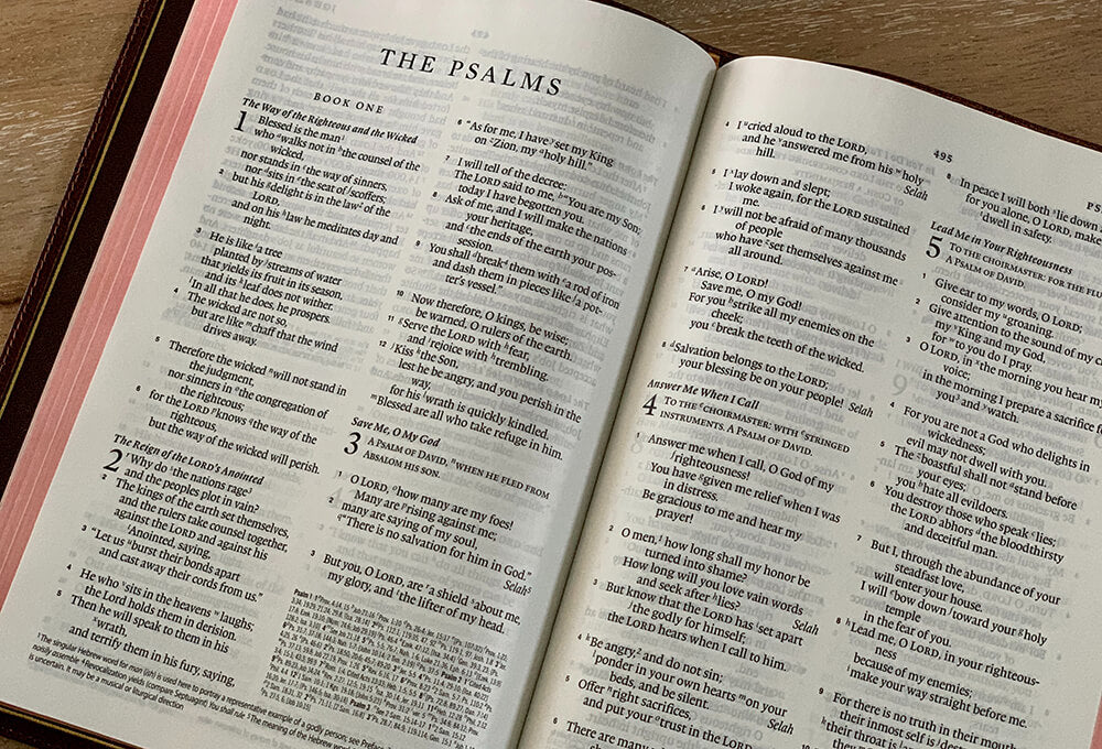 1 Peter 2:2 devotional, Daily Bible Verse, Bible Verse of the Day, free email devotional, prayer cards, Bible Journal, Bible Planner, Scripture planner, scripture journal, Christian Journal, Bible Planner