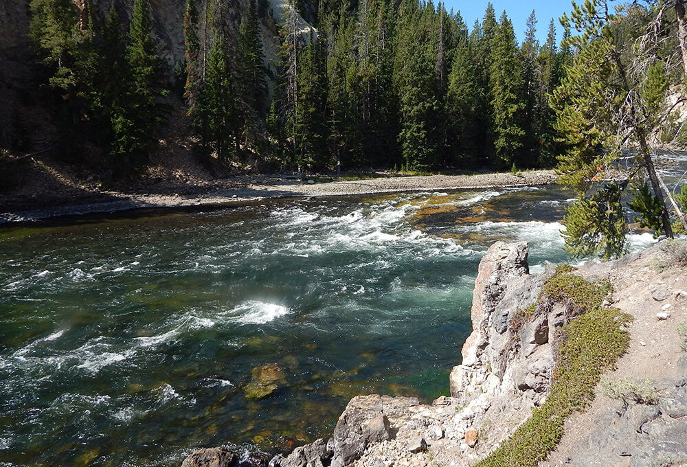 Colossians 1:7 devotional, Daily Bible Verse, Bible Verse of the Day, free email devotional, prayer cards, Bible Journal, Bible Planner, Scripture planner, scripture journal, Christian Journal, Bible Planner