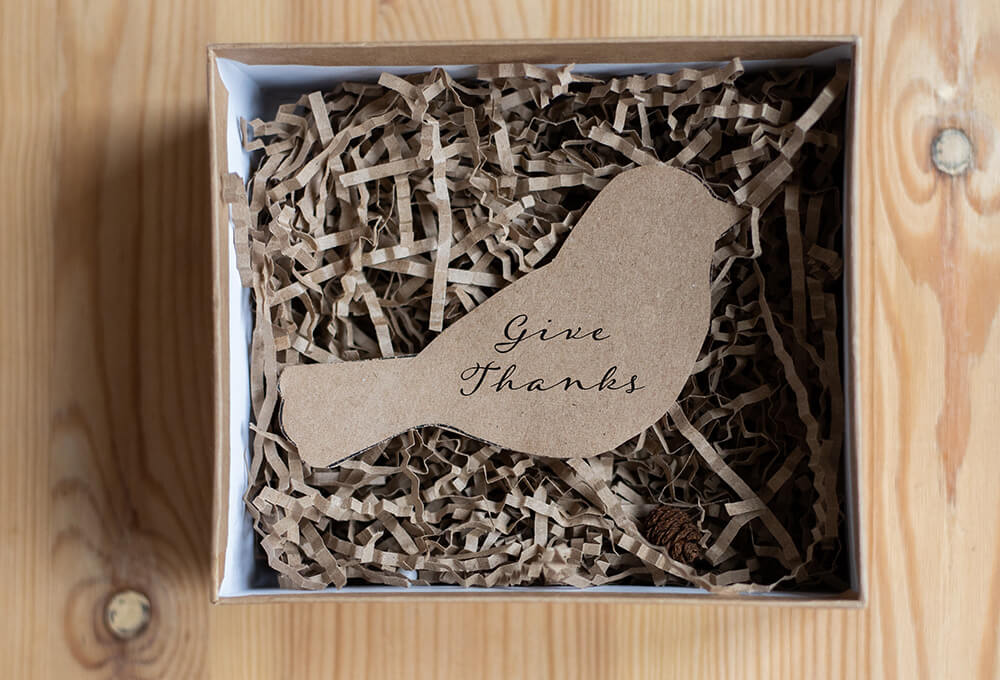 Philippians 4:6-7 devotional, Daily Bible Verse, Bible Verse of the Day, free email devotional, prayer cards, Bible Journal, Bible Planner, Scripture planner, scripture journal, Christian Journal, Christian Planner, Bible Planner