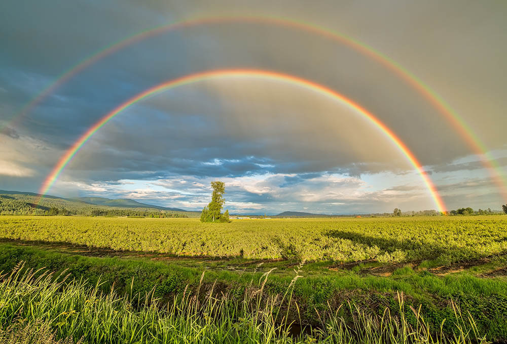 Psalm 66:5 devotional, Daily Bible Verse, Bible Verse of the Day, free email devotional, prayer cards, Bible Journal, Bible Planner, Scripture planner, scripture journal, Christian Journal, Bible Planner