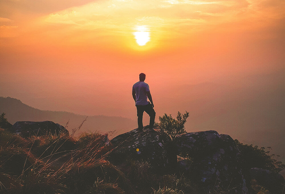 Psalm 91:14 devotional, Daily Bible Verse, Bible Verse of the Day, free email devotional, prayer cards, Bible Journal, Bible Planner, Scripture planner, scripture journal, Christian Journal, Bible Planner