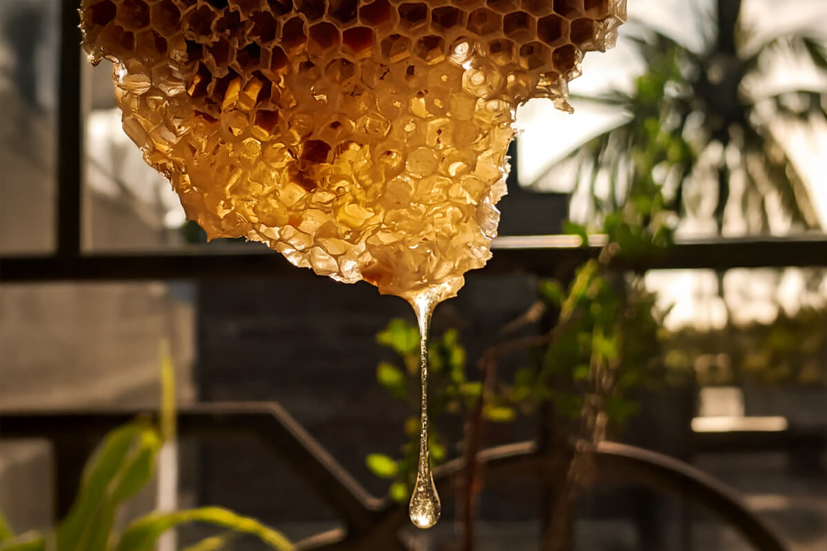 Honeycomb representing words that are sweet and healing