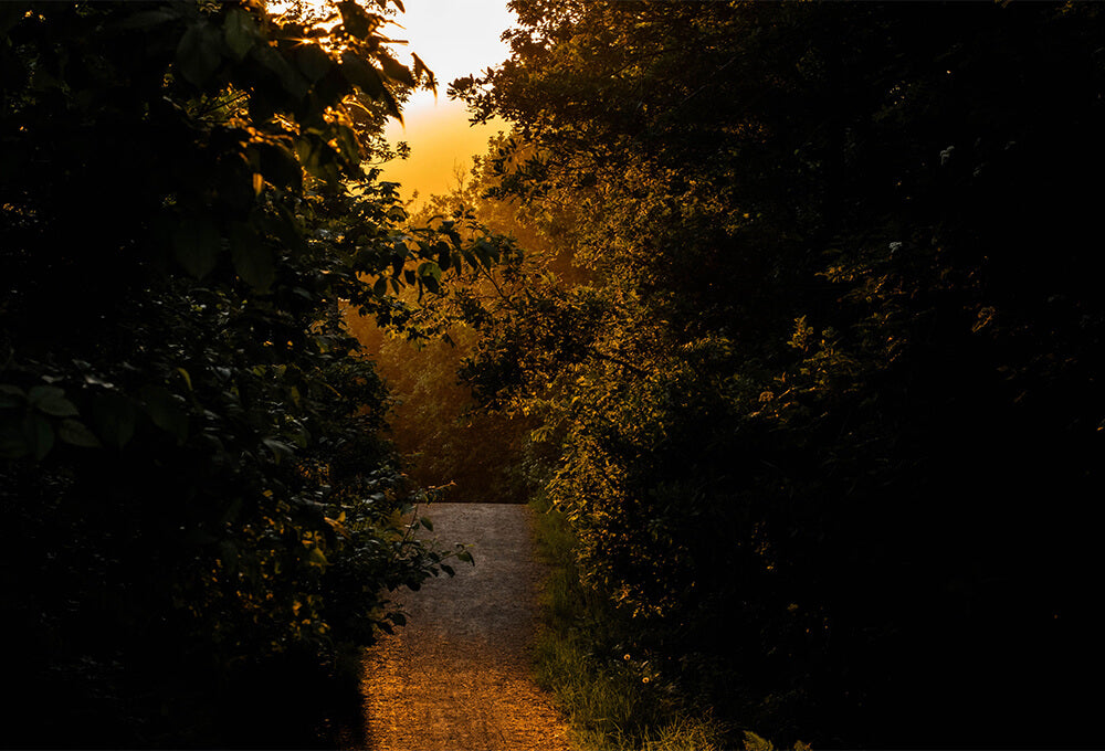 Peaceful path leading toward light as a symbol of God’s faithful presence