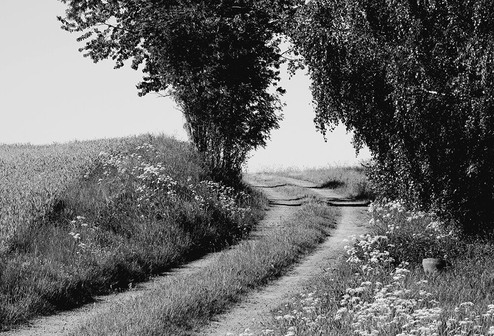 A winding road disappearing into the horizon
