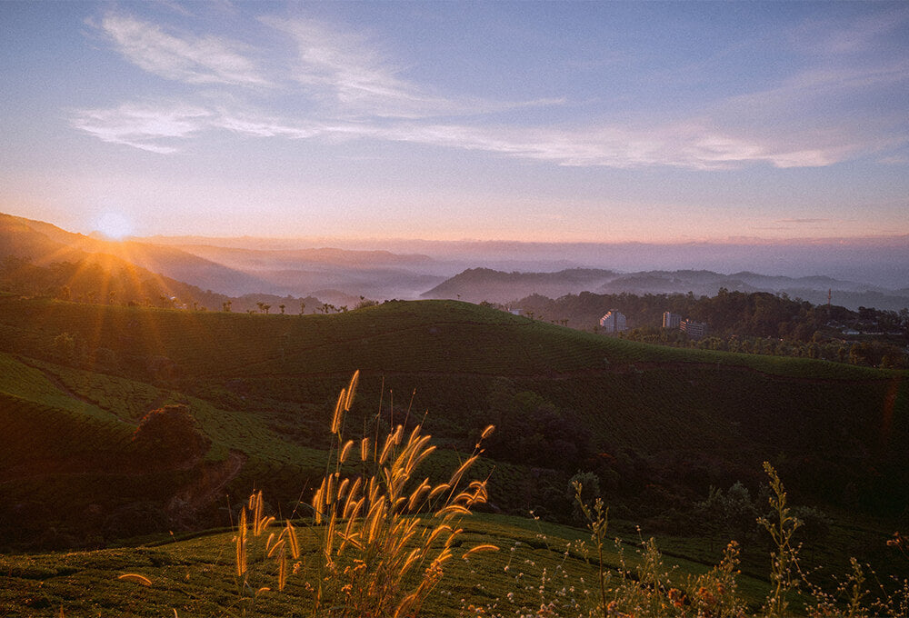 Sunrise over a peaceful landscape