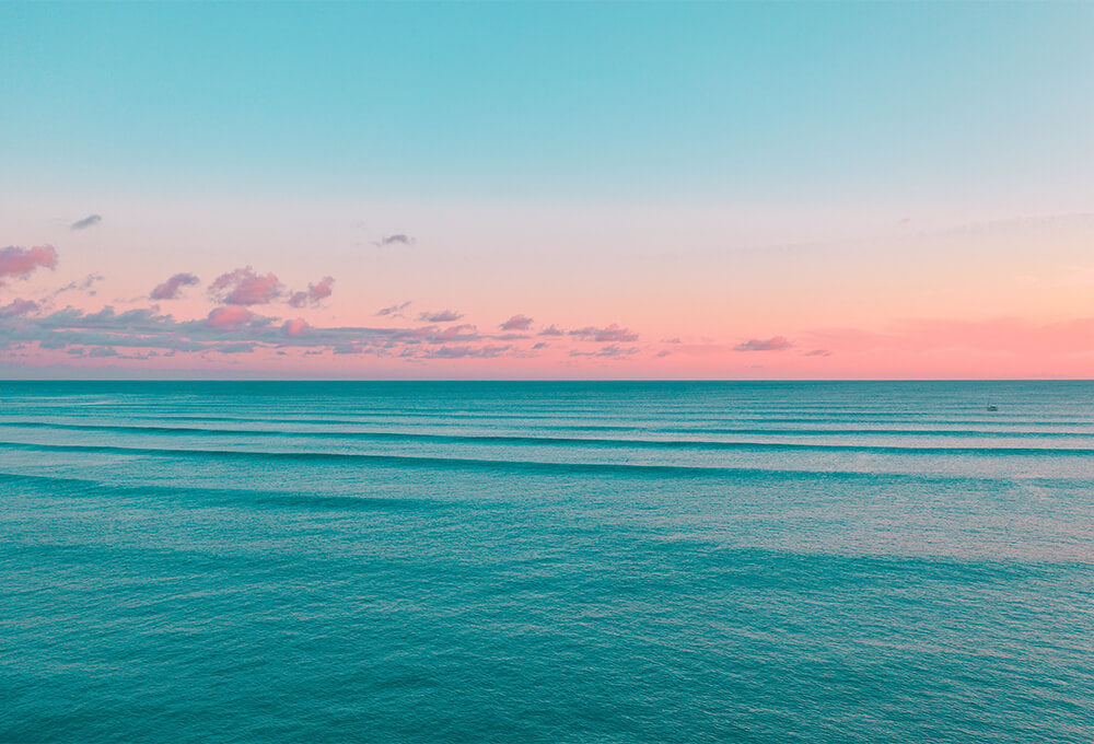 Daily Devotional • Hebrews 6:19 • Anchored in Hope