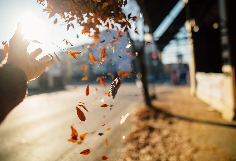 Woman tossing fall leaves into the wind