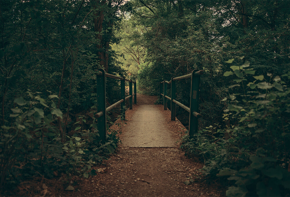 Open path beneath a peaceful sky representing God’s constant presence