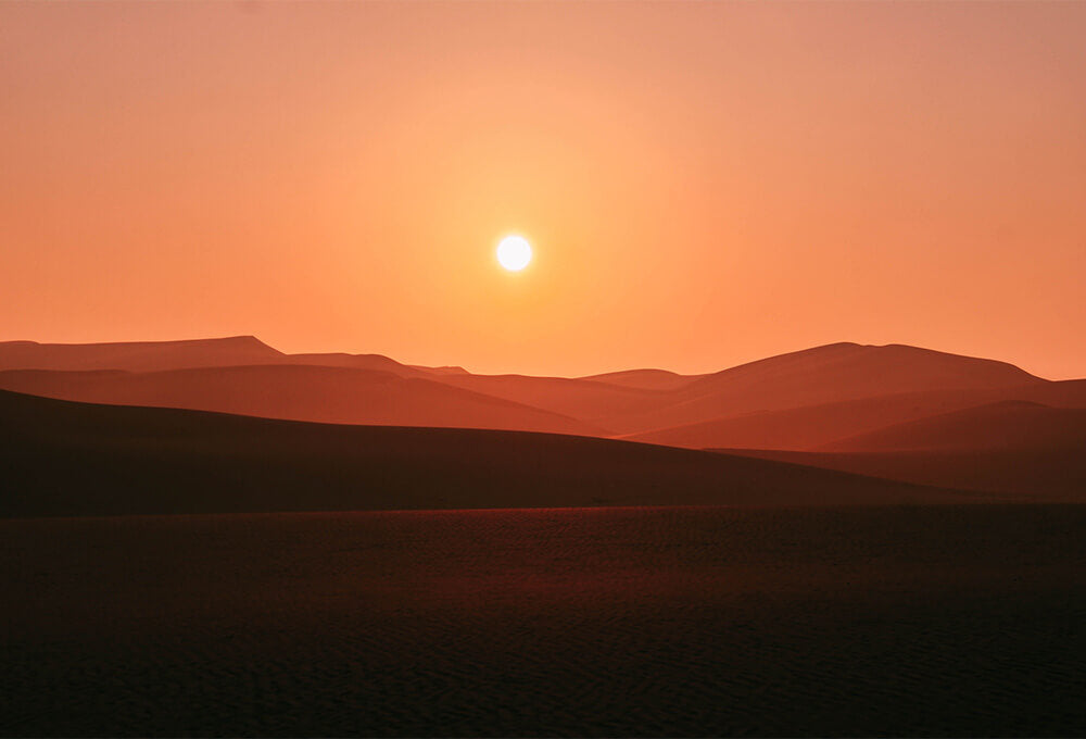 Daily Devotional • Exodus 16:4 • Faithfulness in the Wilderness