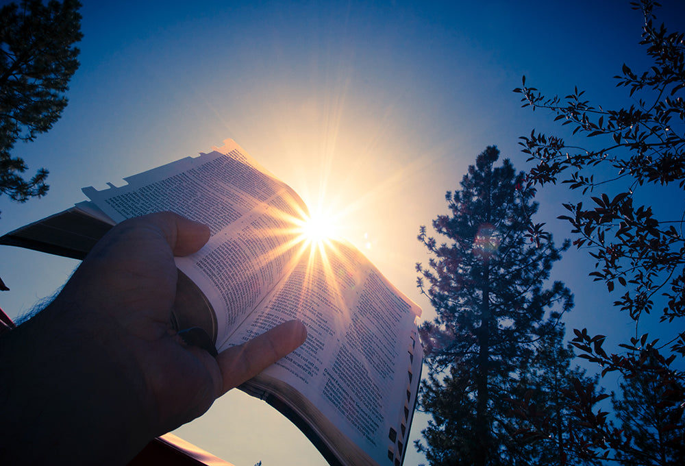A Devotional on John 10:28: Secure in God’s Hands