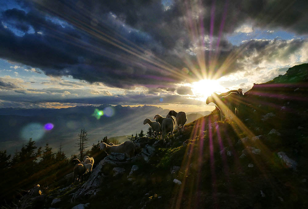 Sun peaking through clouds at dusk with sheep on the side of a hill