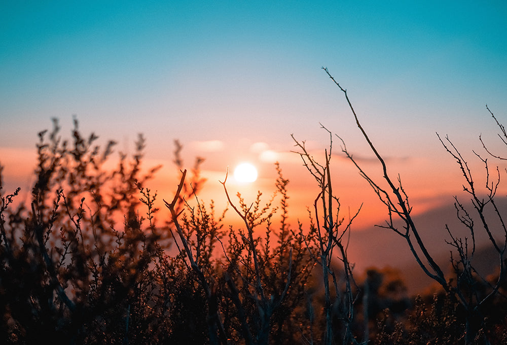 Sun looking over mountain landscape symbolizing direction