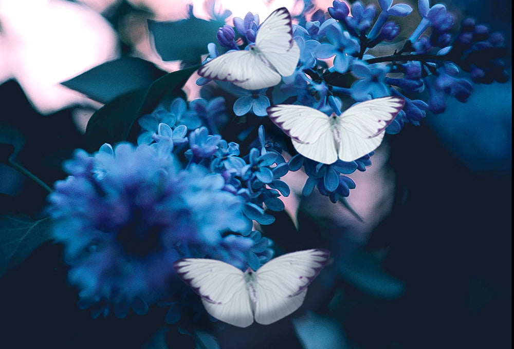 Butterfly symbolizing transformation