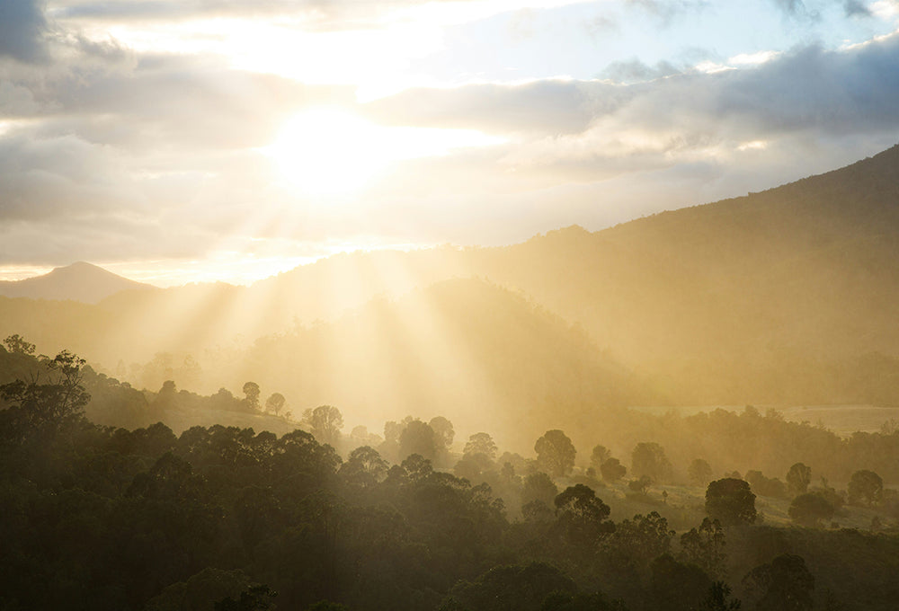 sunlight rising over the hills representing living with integrity