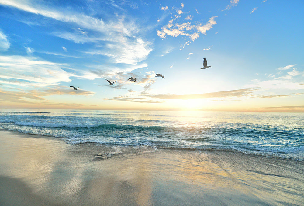 birds symbolizing renewal and restoration