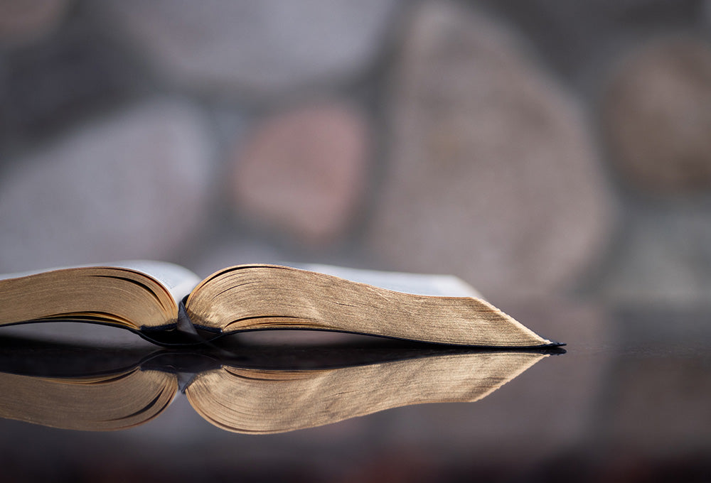 Writing reflections about humility in a personalized scripture journal