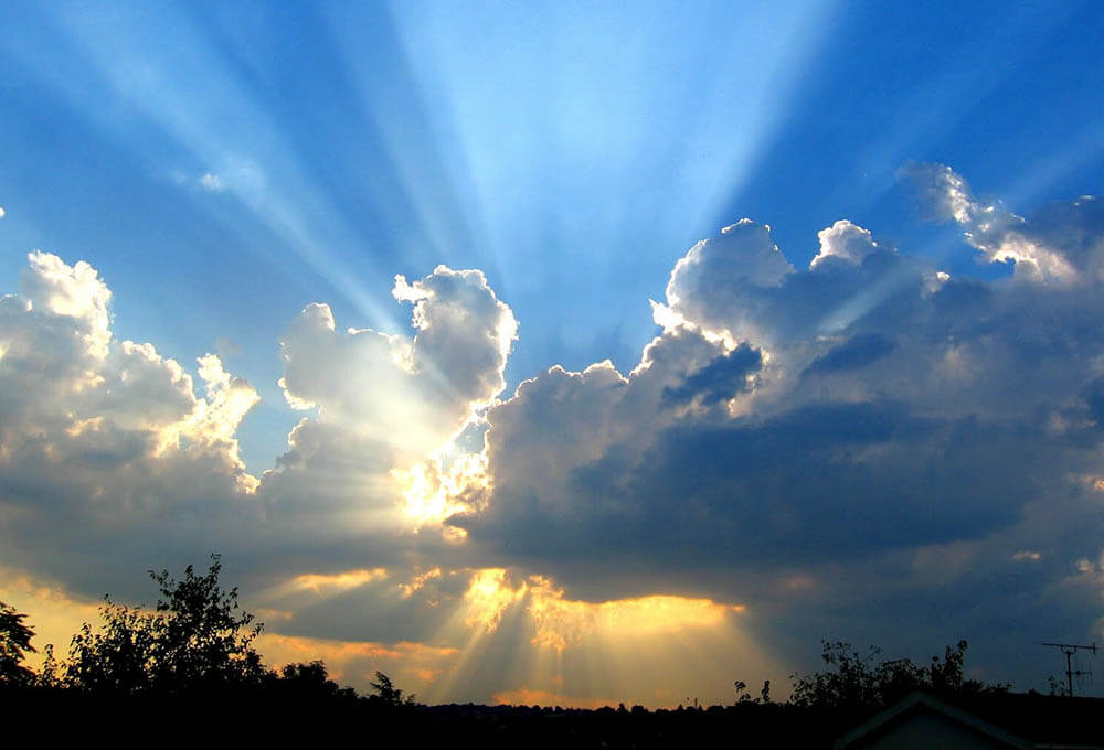 Advent Devotional 25 • Luke 2:13