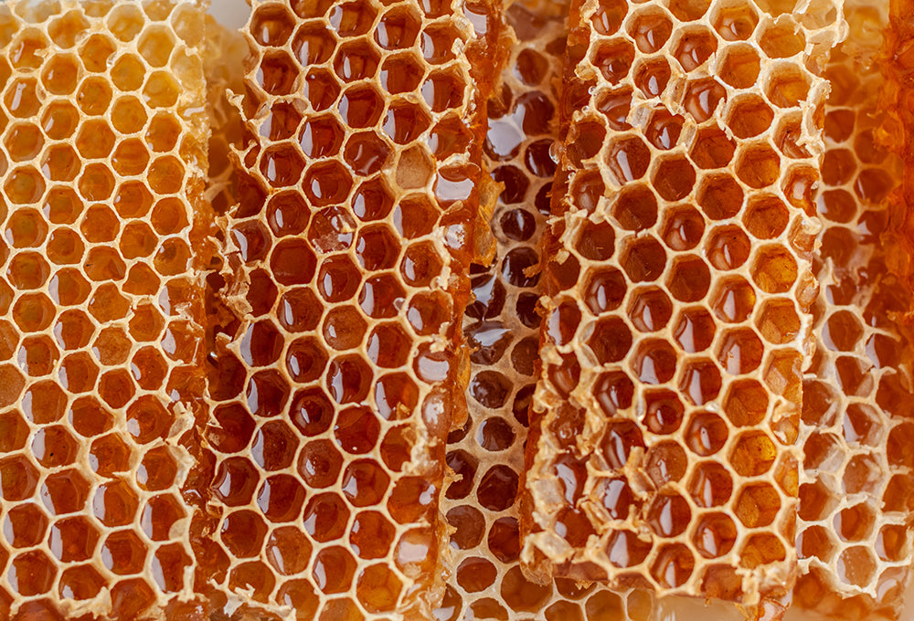 honeycomb shows the healing power of kind words