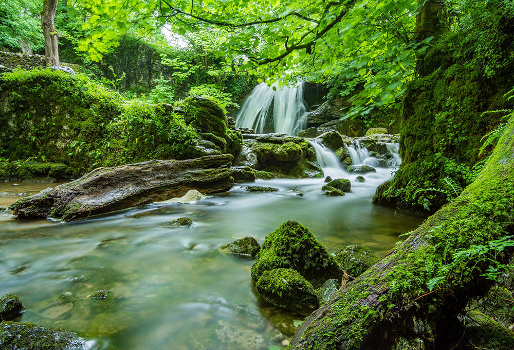 Daily devotional, free daily devotional, free email devotional, personalized devotional, scripture journal, personalized scripture, bible journal, bible journals, christian planner, christian journal, christian planners, prayer journal, prayer journals