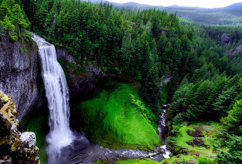 beautiful waterfall in a green hillside