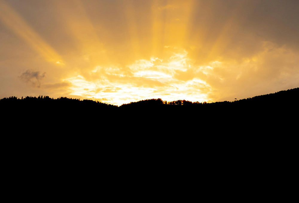 Daily Devotional • Romans 13:12 • Living in the Light