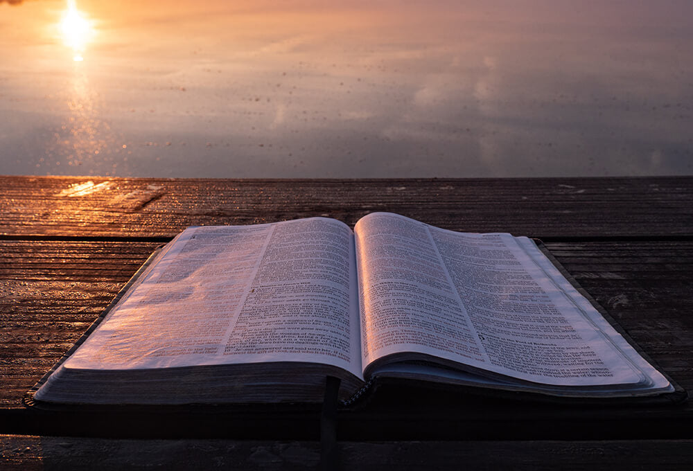 Matthew 21:9-11 devotional, Daily Bible Verse, Bible Verse of the Day, free email devotional, prayer cards, Bible Journal, Bible Planner, Scripture planner, scripture journal, Christian Journal, Bible Planner