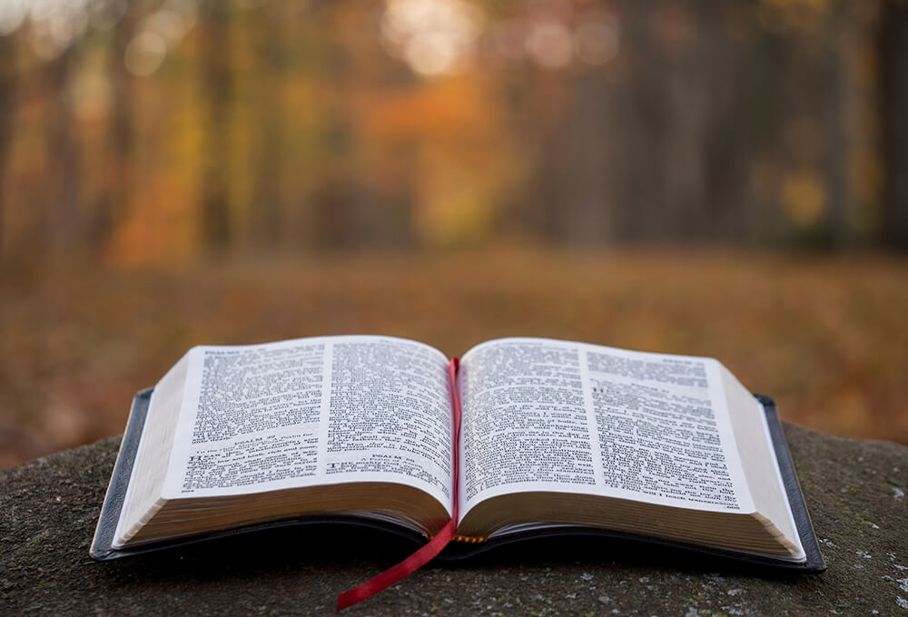 Ephesians 2: 7-8 devotional, Daily Bible Verse, Bible Verse of the Day, free email devotional, prayer cards, Bible Journal, Bible Planner, Scripture planner, scripture journal, Christian Journal, Bible Planner