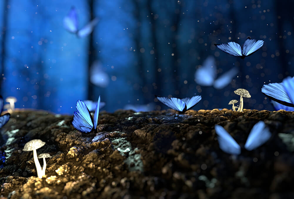 Fluttering Blue Butterflies in an Evening Light in the Forest