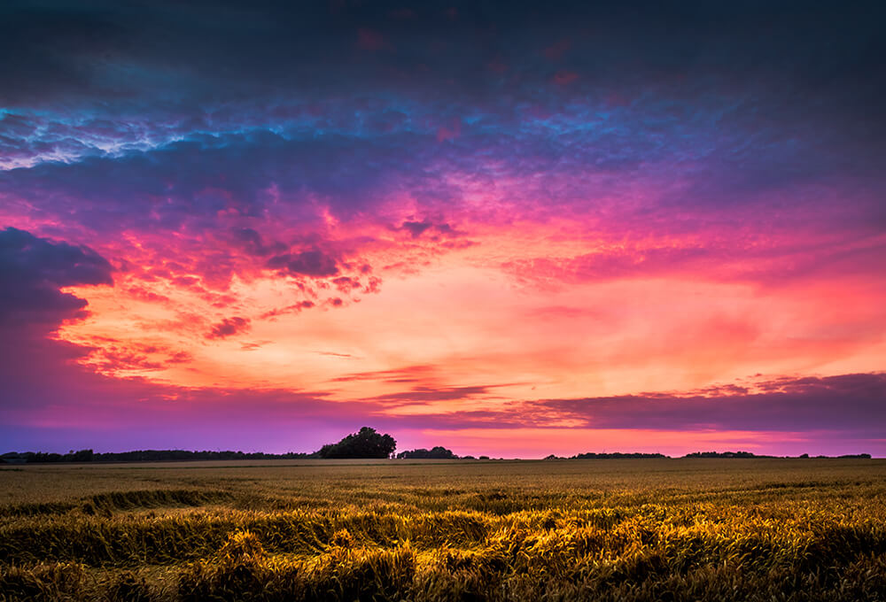Bright vivid multicolored sunset