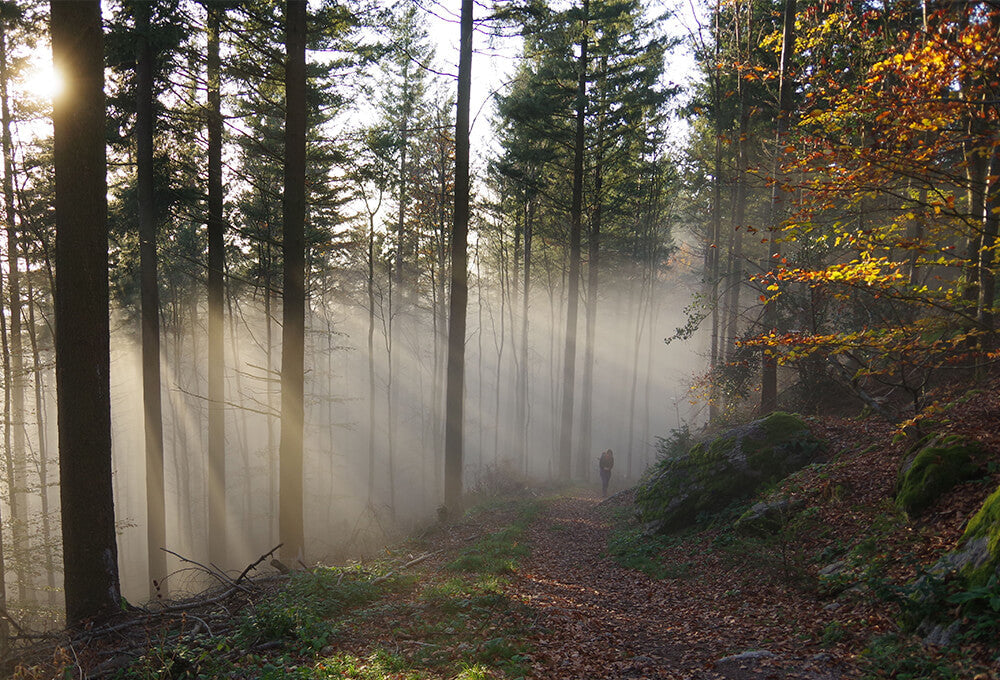 Woman walking in the woods