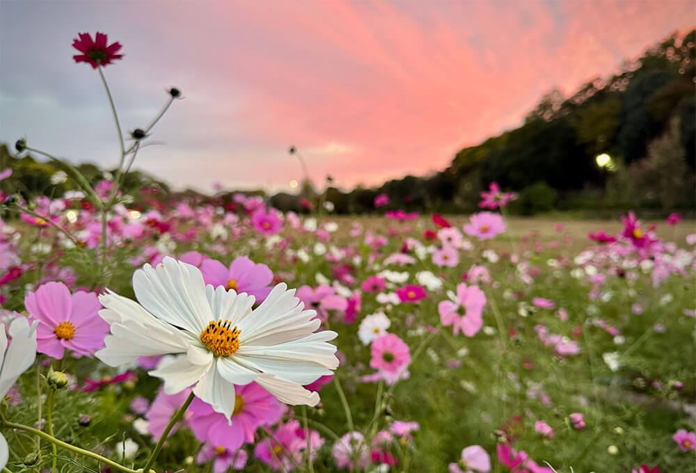 Colorful sunrise over a landscape representing new beginnings and hope