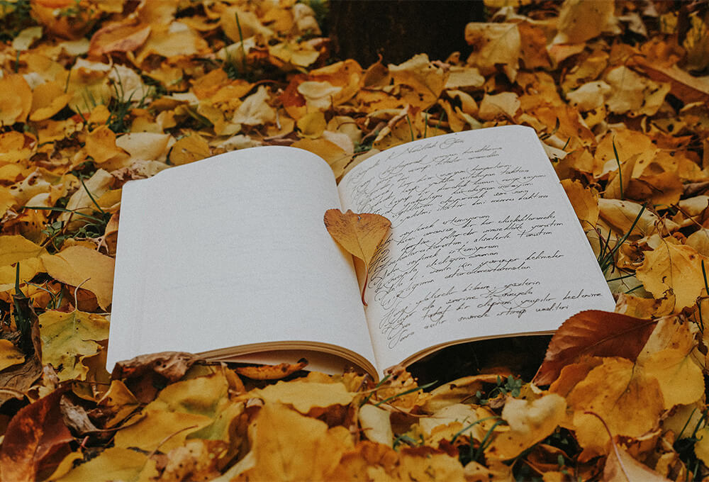 Daily Devotional • Romans 8:28 • Even the Leaves Have a Purpose