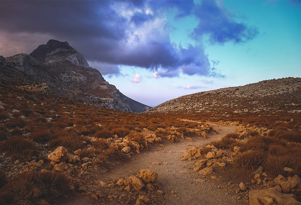 Daily Devotional • Genesis 16:13 • The God Who Sees