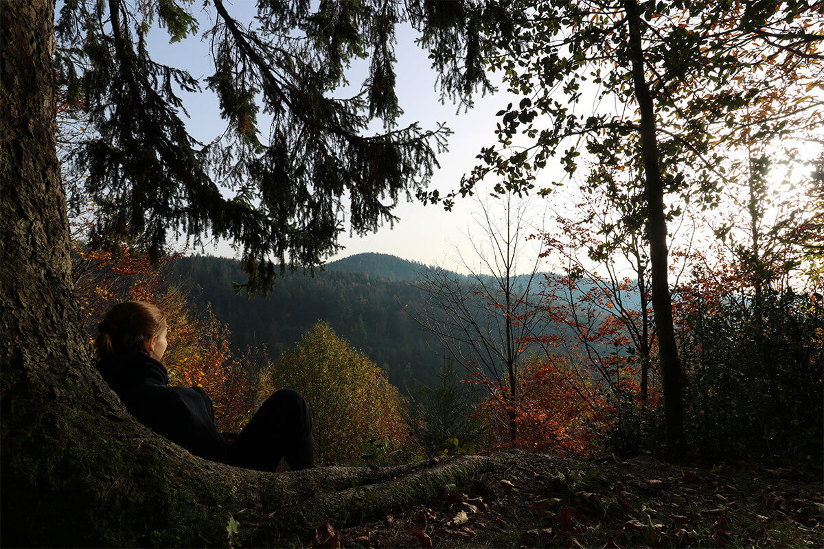 Woman resting beneath trees in peaceful sunlight, reflecting on God's unfailing love and protection