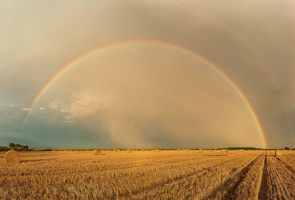 Peaceful landscape after a storm representing quiet and renewal