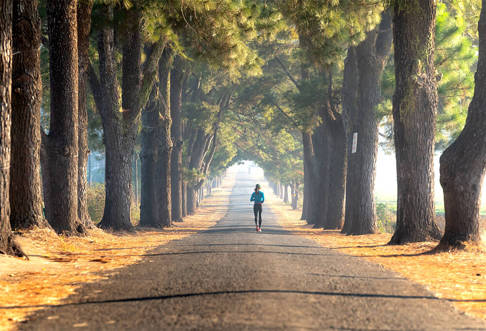 Daily Devotional • Hebrews 12:1 • Run with Endurance