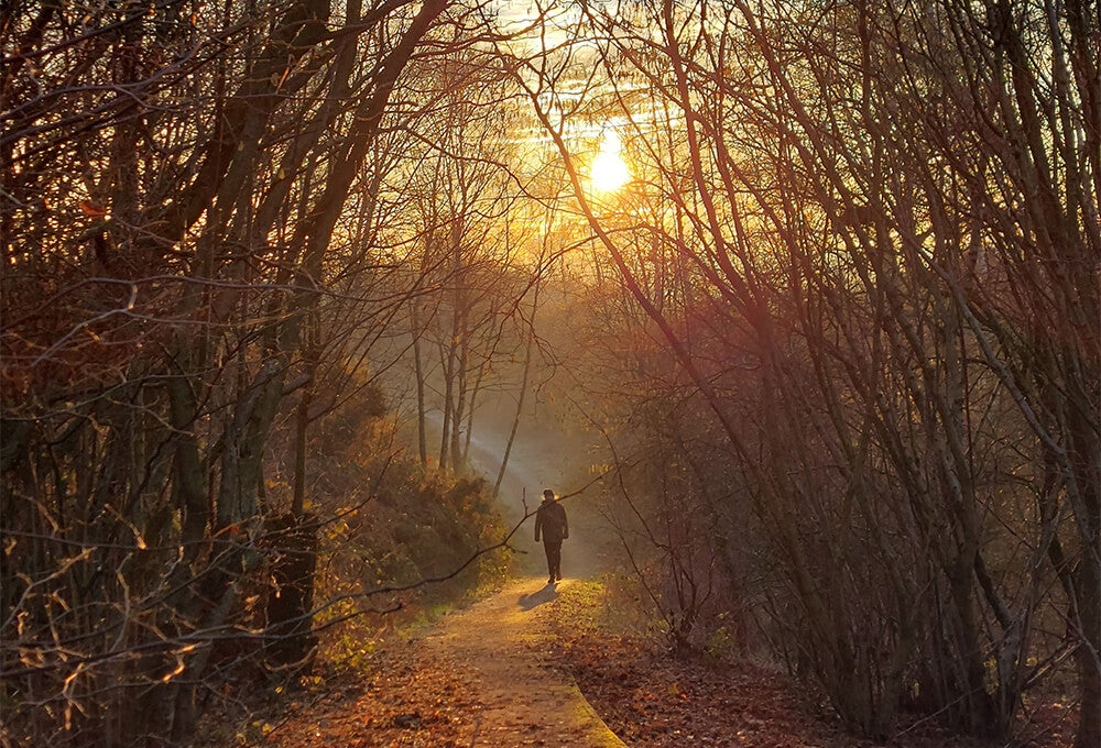 Woman walking along a winding woodland trail at sunrise