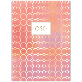 Honeycomb Christian Planner – Personalized Scripture Planner by Paper Sunday – view 9